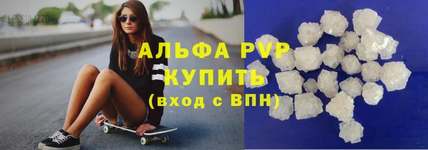 стафф Арсеньев