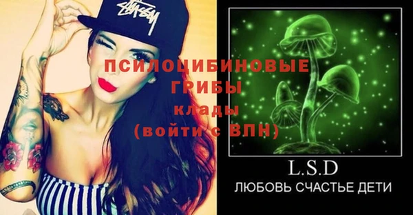 гашик Армянск